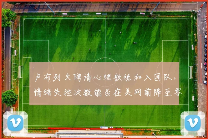 卢布列夫聘请心理教练加入团队,情绪失控次数能否在美网前降至零